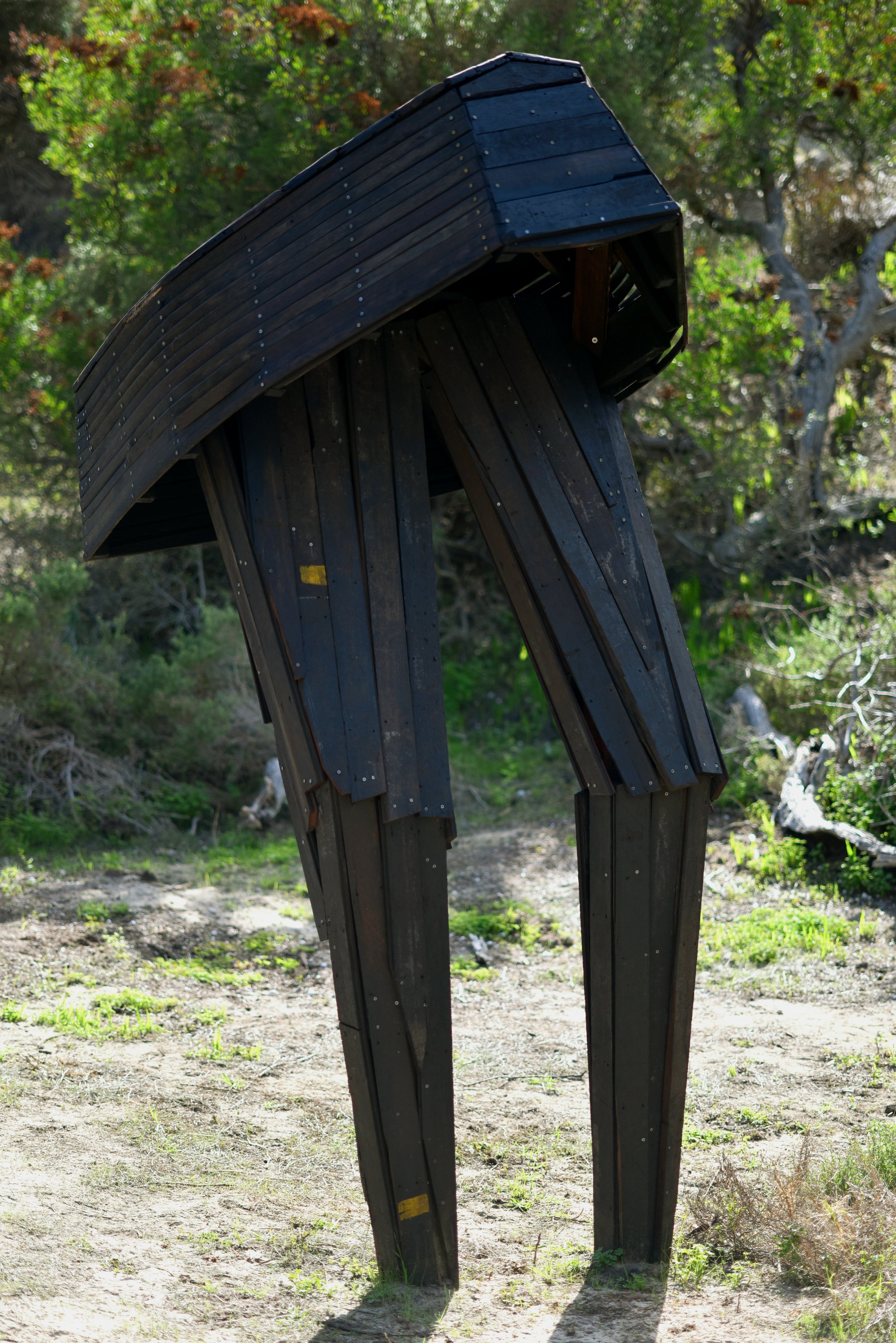 DSC_8946.JPG