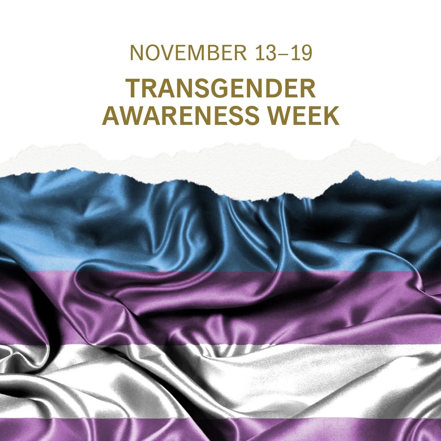 This week and every week, celebrate and uphold the rights of the trans people in our lives.

#transdayofremembrance #transawarenessweek2022 #genderminorities #transmentalhealth #tindrumtherapy #mentalhealth #genderbasedviolenceawareness #genderbasedt