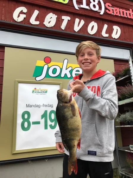Foto: Gro Gløtvold/Joker Drevsjø ID:710
