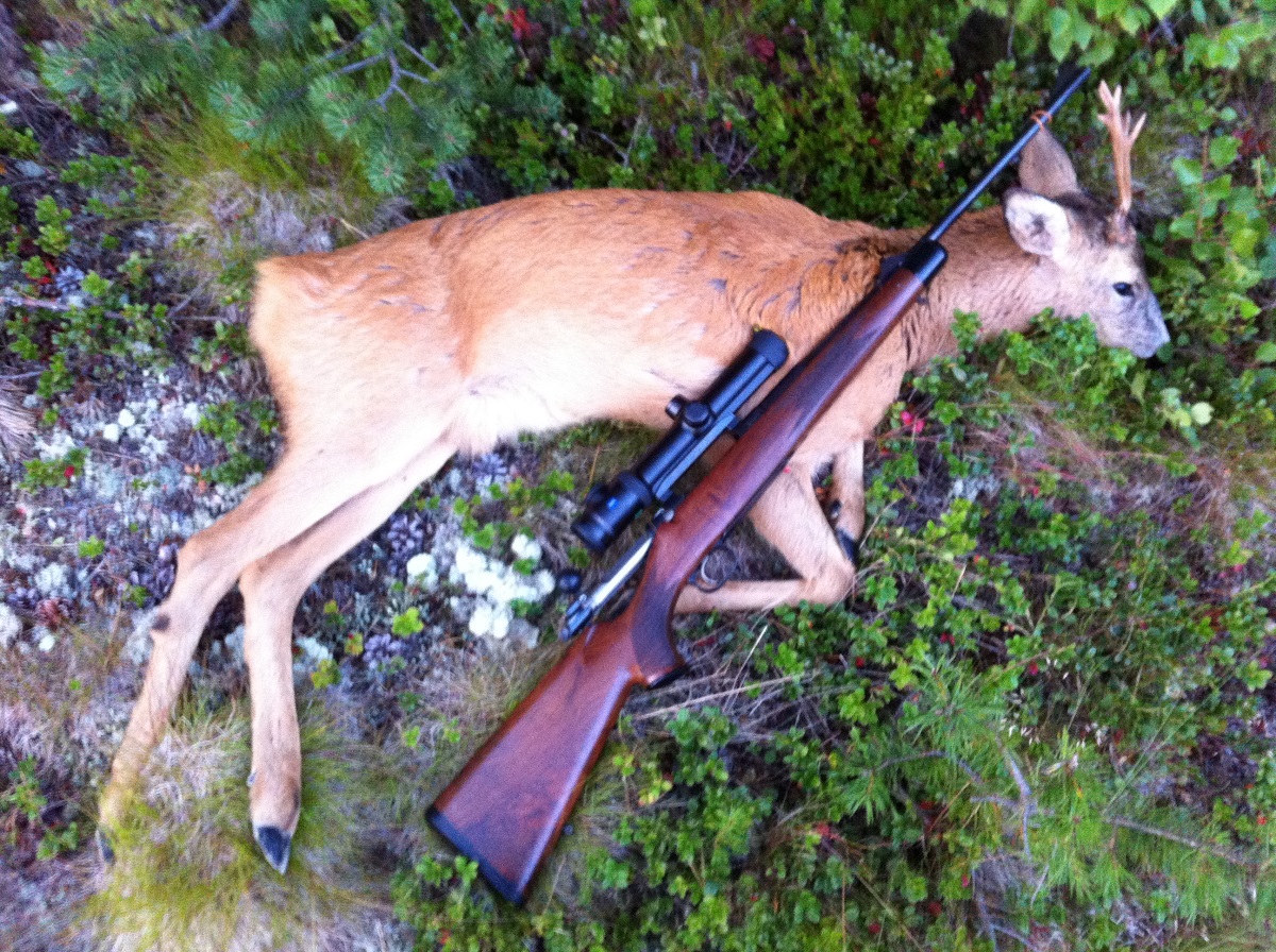 Foto: Frode Sømåen ID:682