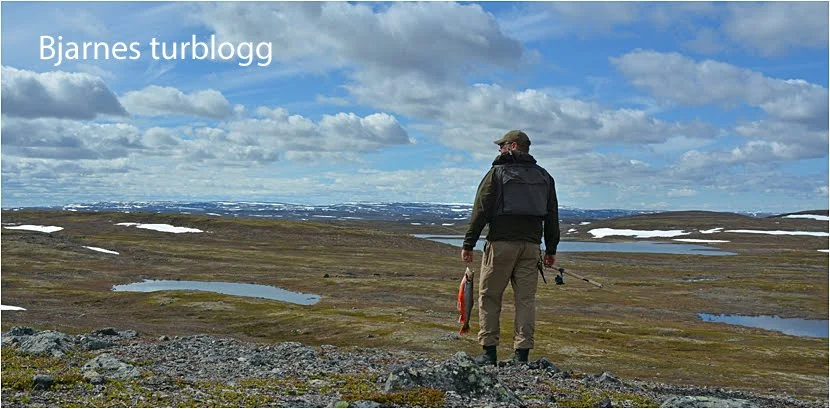 Foto: Bjarne Heyerdahl Sætrang ID:669