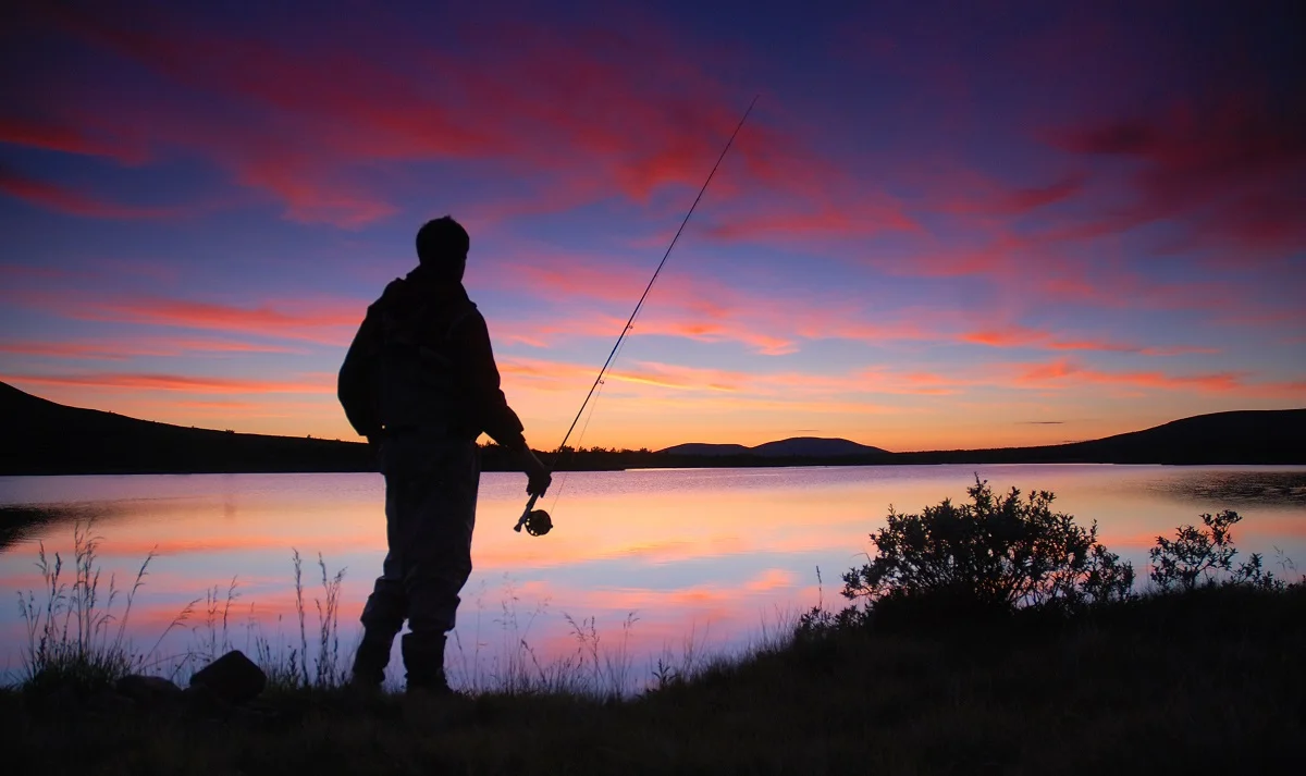 Foto: Tore Stengrundet ID:635