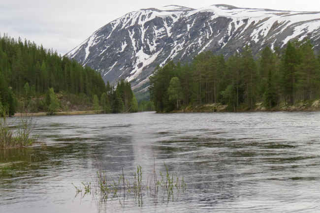 Foto: Arkiv/Ole Opseth ID:622