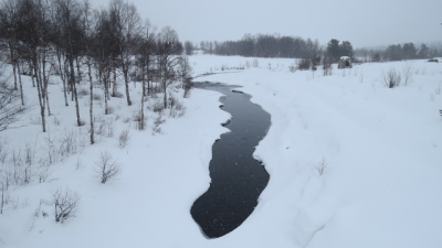 Foto: Ole Opseth ID:584
