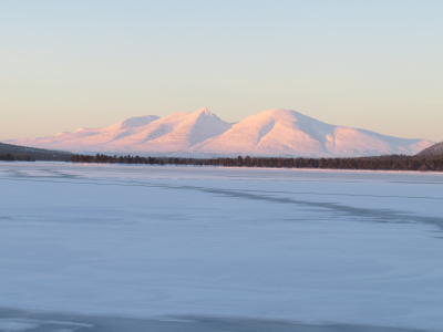Foto: Ole Opseth ID:560