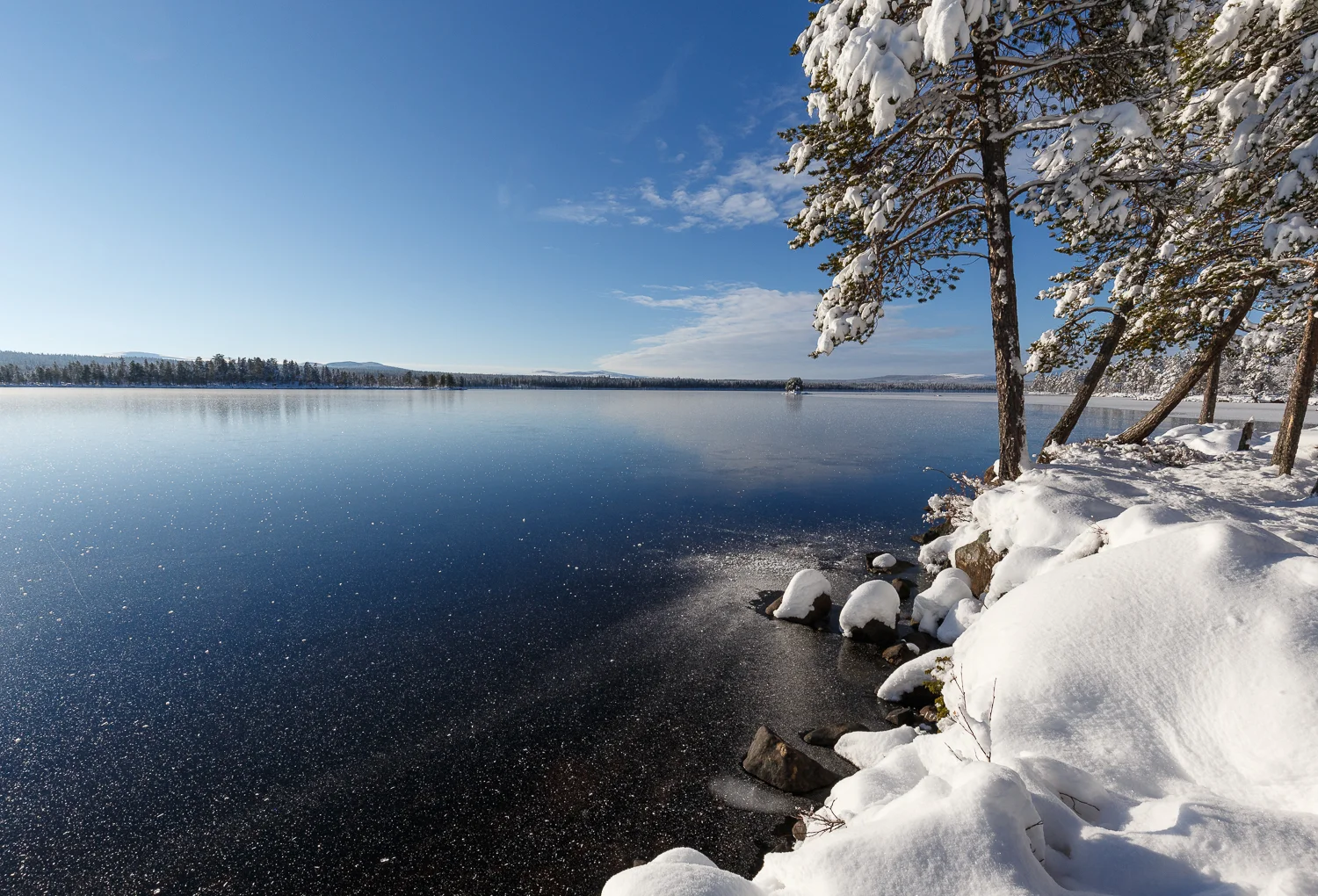 Foto: Jan Nordvålen ID:527