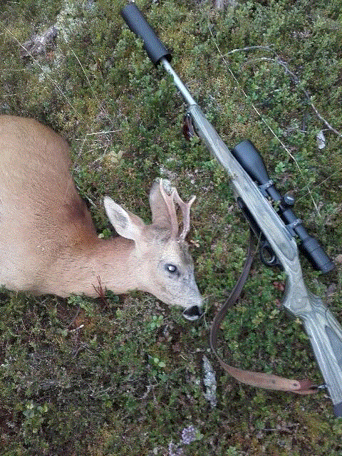 Foto: Rosita Sjøø Nilsen ID:462