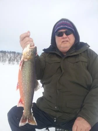 Foto: Tore Stengrundet ID:352
