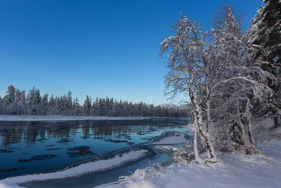 Foto: Jan Nordvålen ID:279