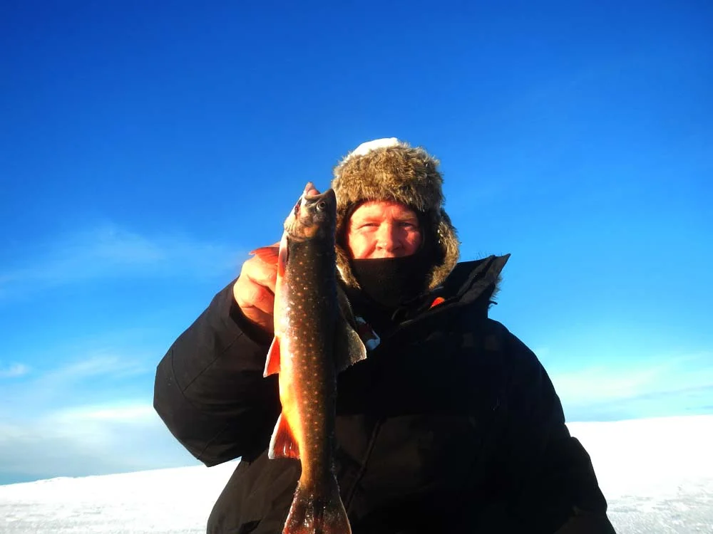 Foto: Morgan Dalèn ID:272