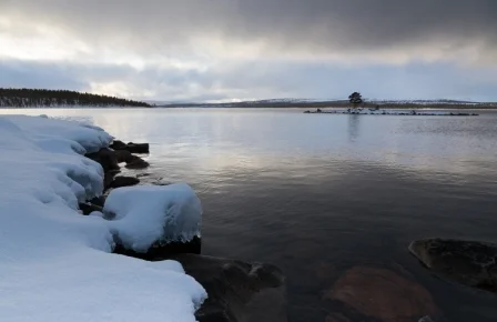 Foto: Jan Nordvålen. 