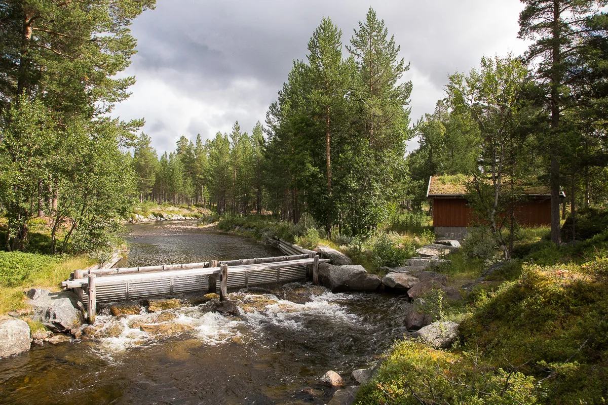 Foto: Jan Nordvålen