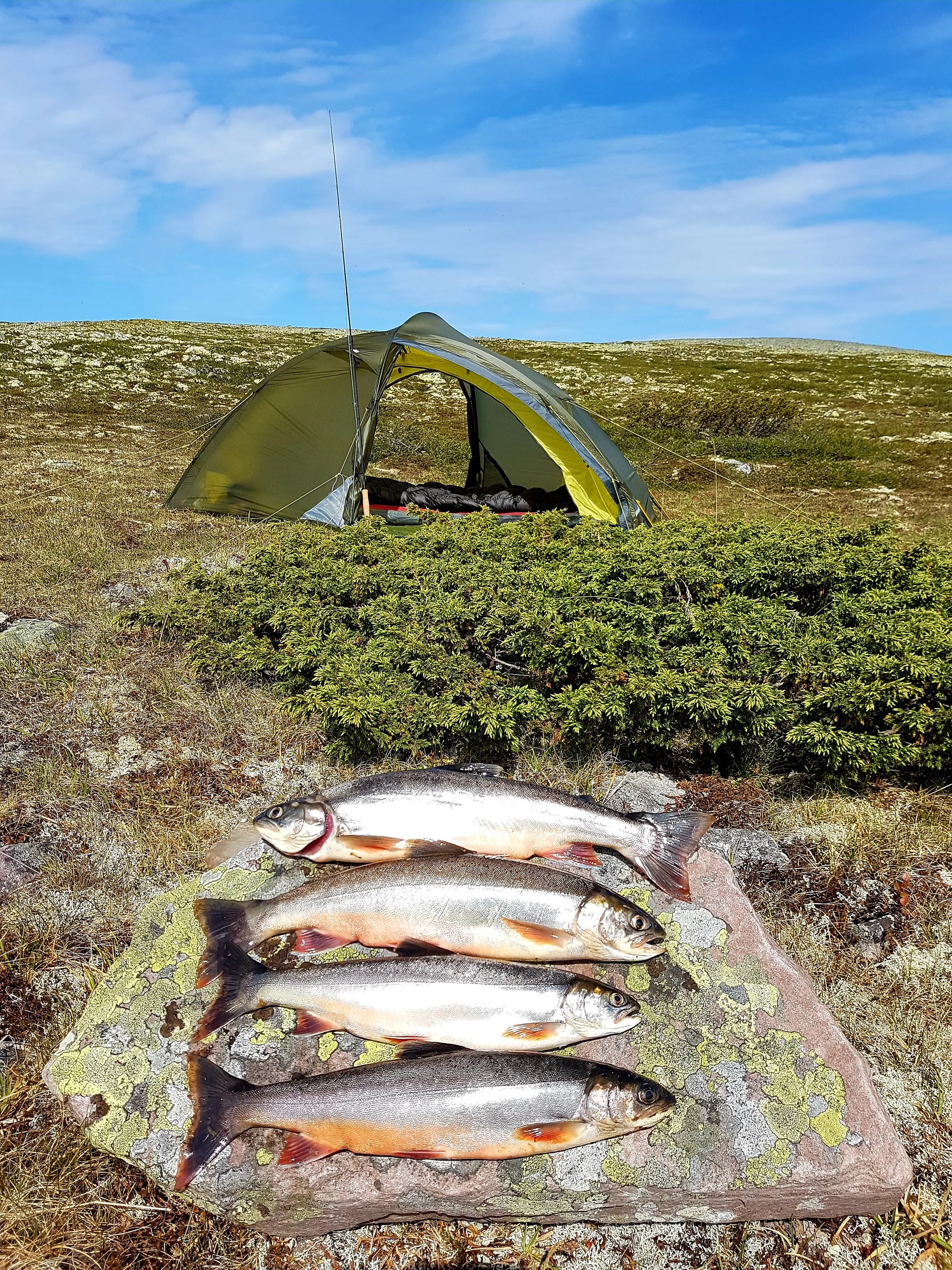Foto: Kenneth Østreng