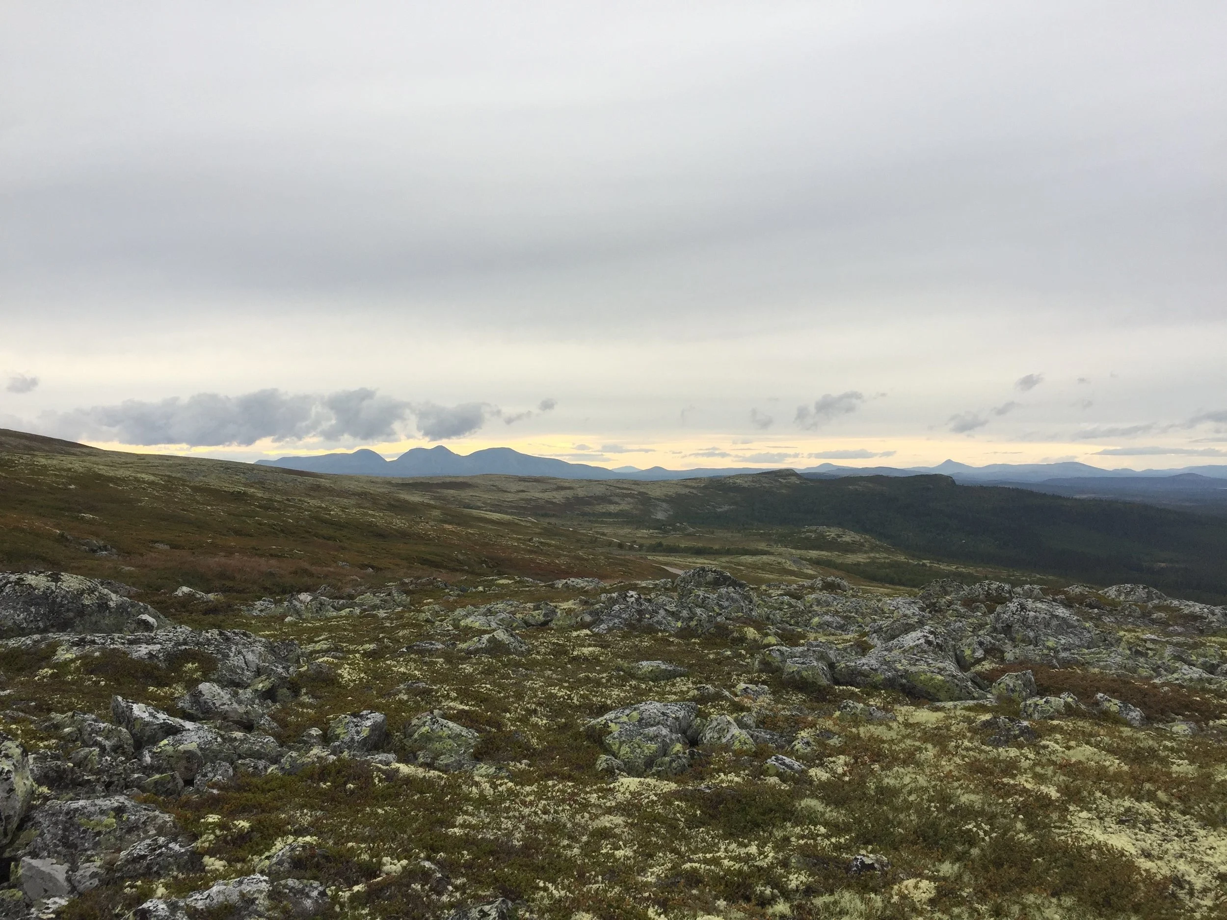 Foto: Merète Trangsrud