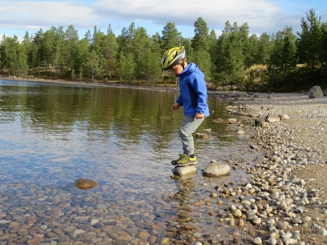Onar på stein.jpg