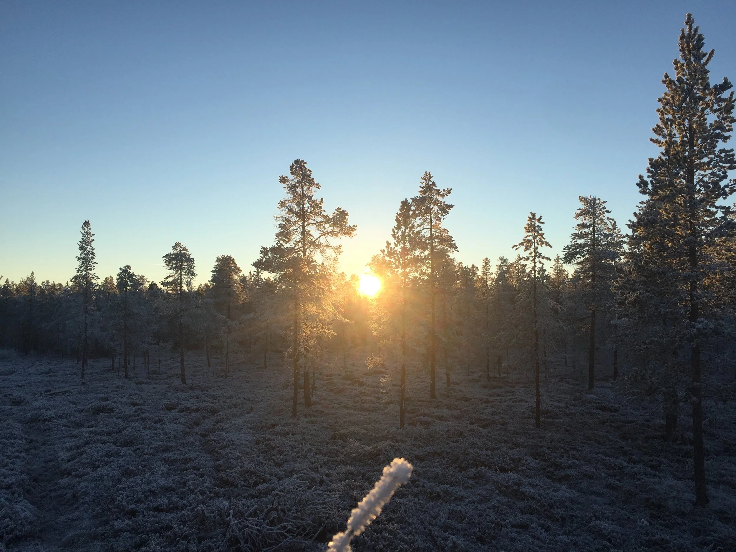 Foto: Merète Trangsrud