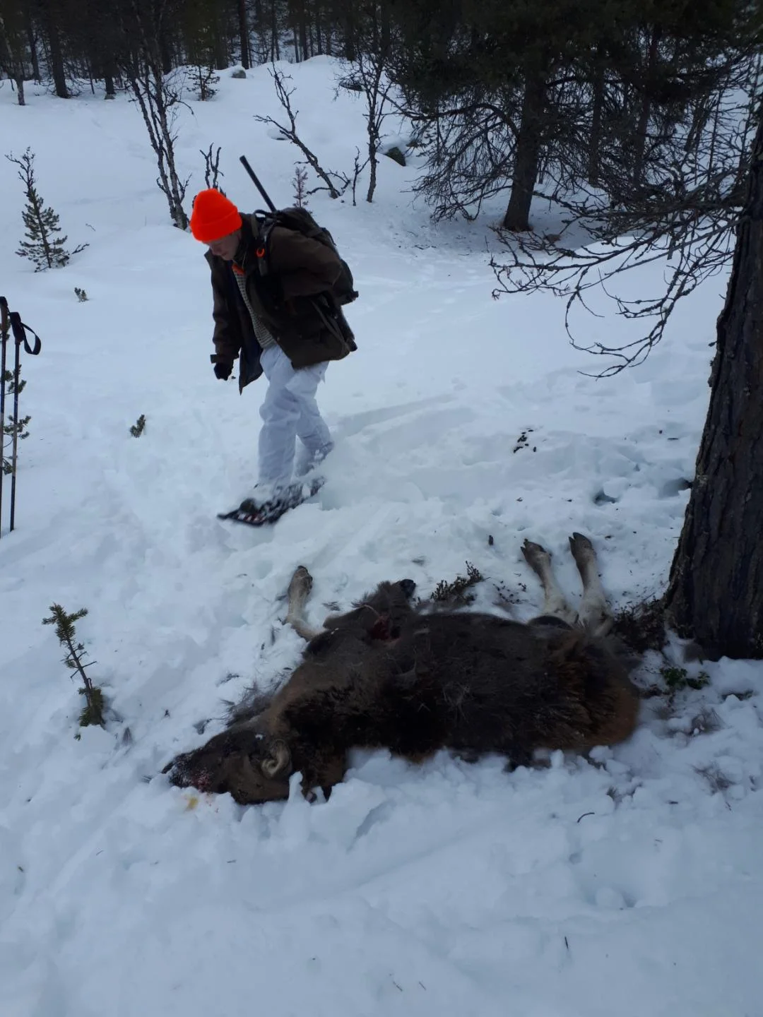 Resized_20190216_083908_162.jpeg