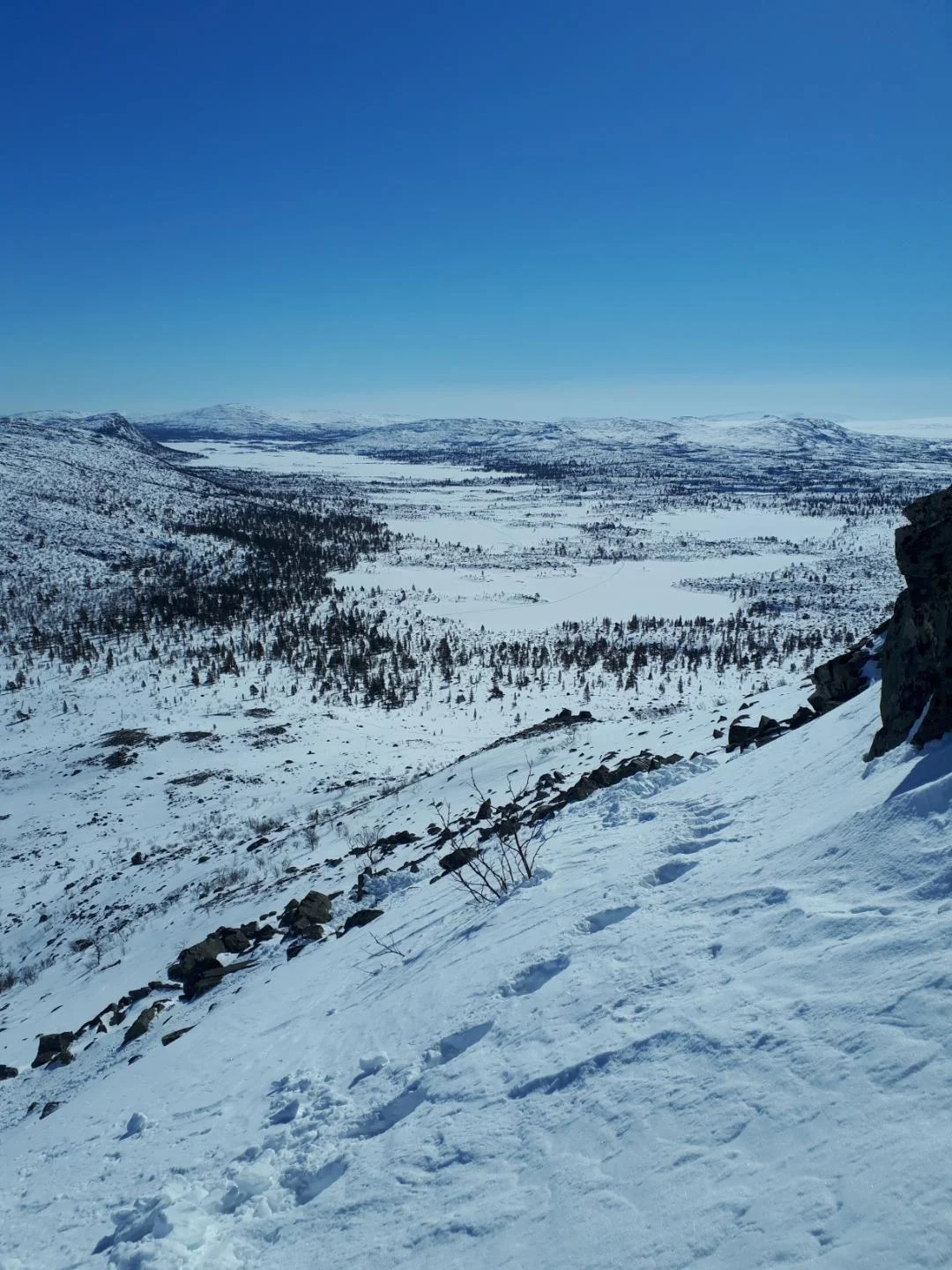 Foto: Bjørnar Johnsen