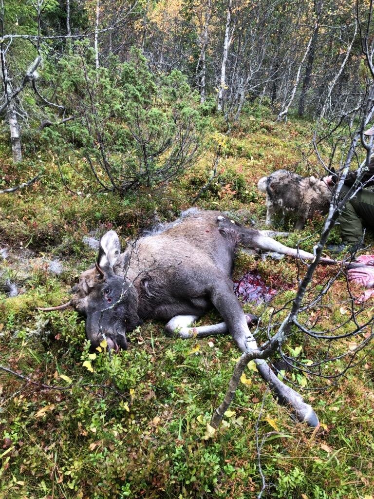 Foto: Lerådaln