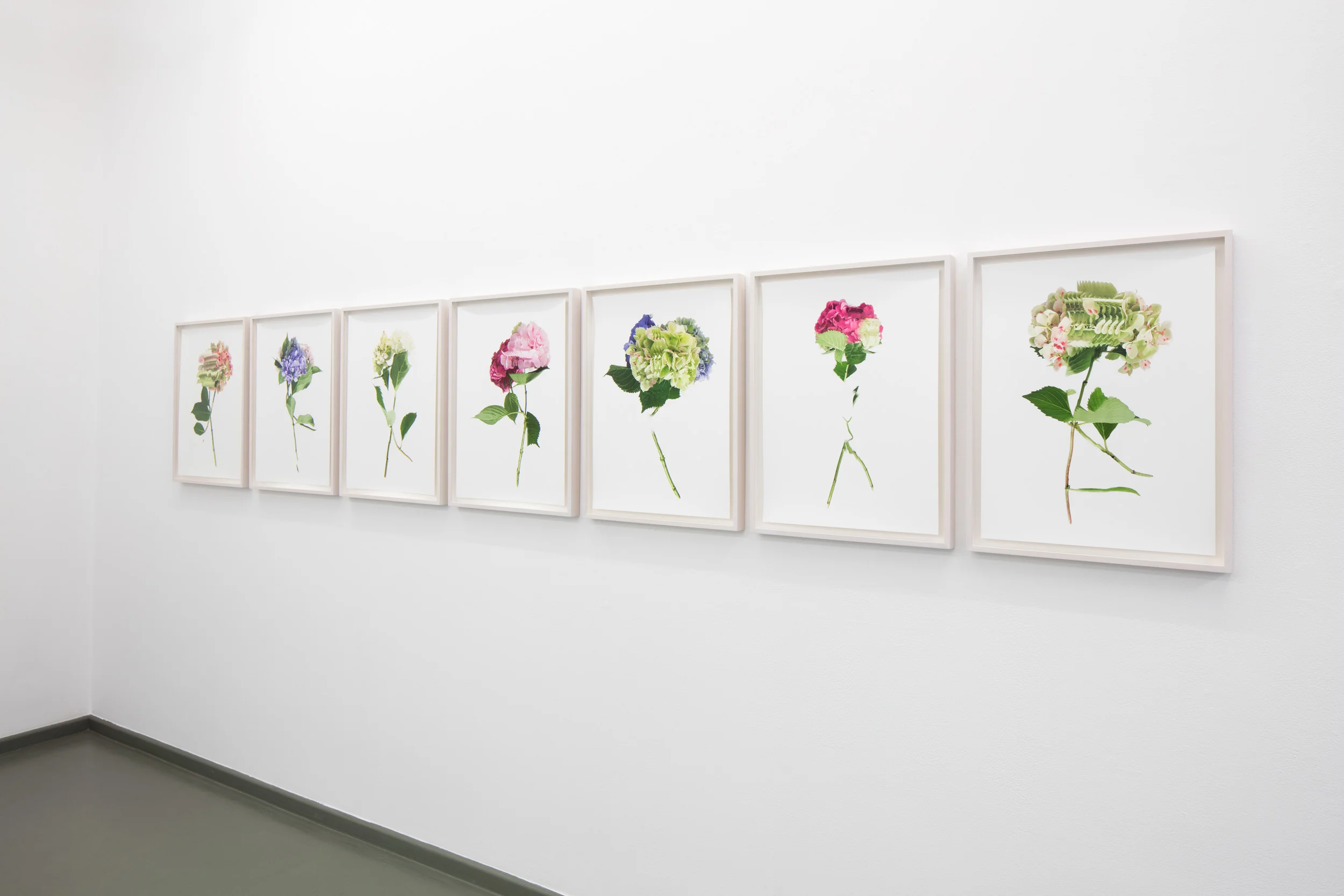 Ausstellungsansicht RANDOM FLOWERS, Rasche Ripken, 2018