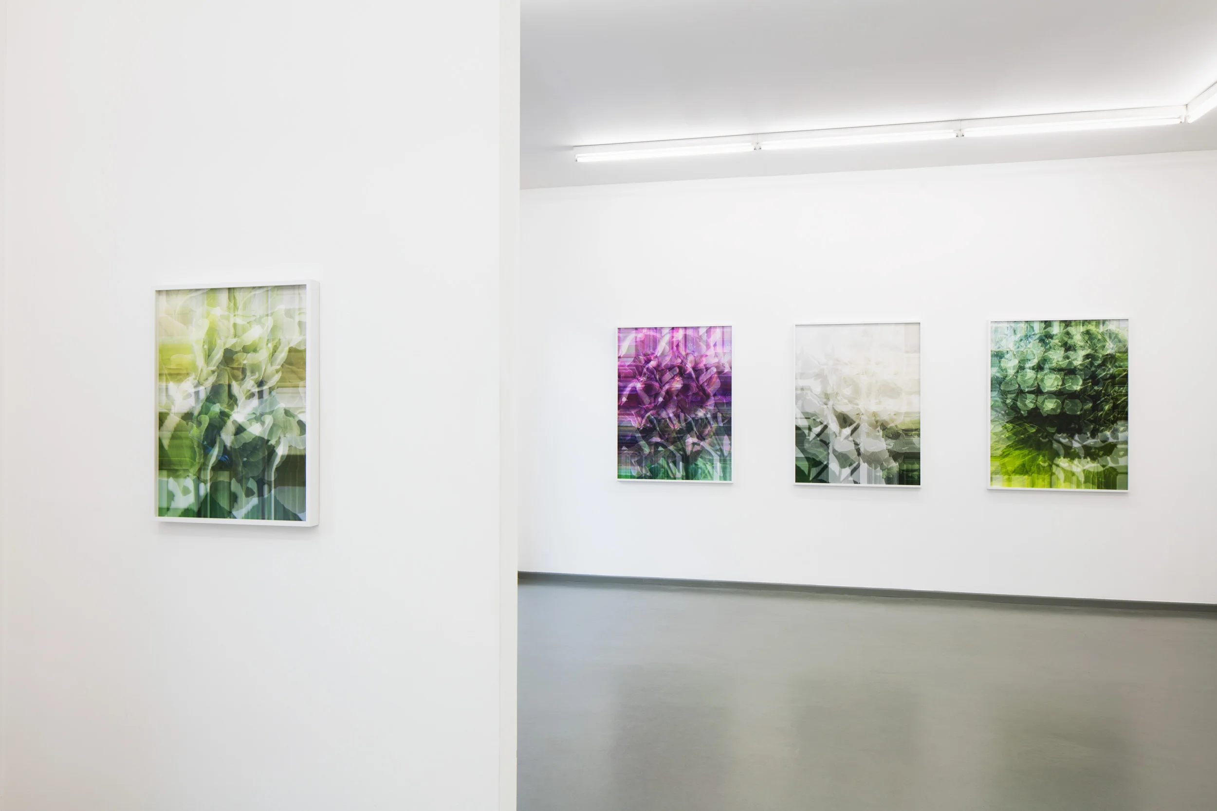 exhibition view BLOSSOM WORKS, Rasche Ripken, 2018