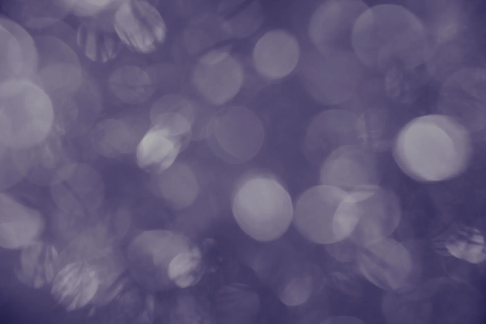 shutterstock_344811005-darkpurple.jpg