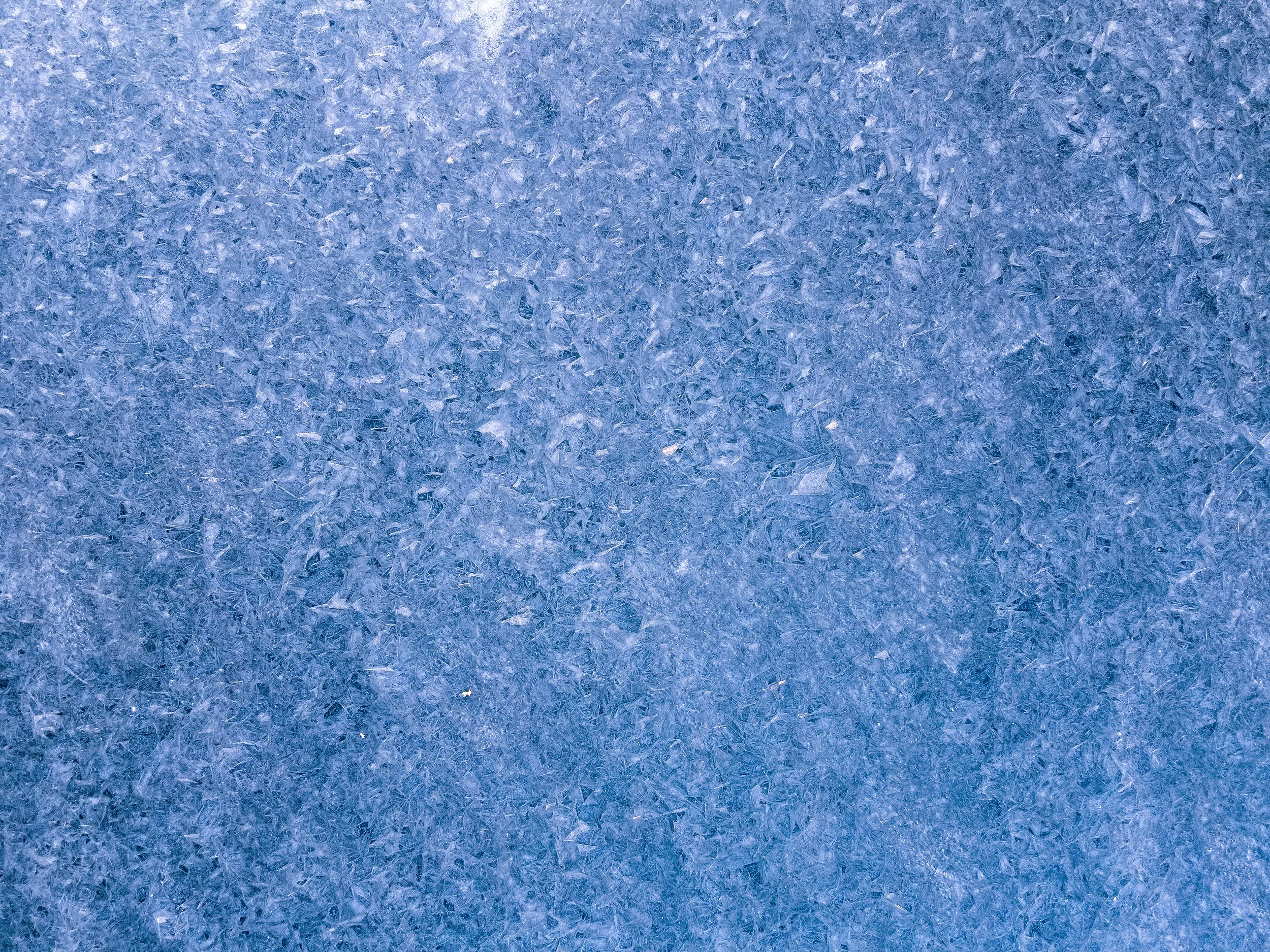 Government Response to Culture Counts Members