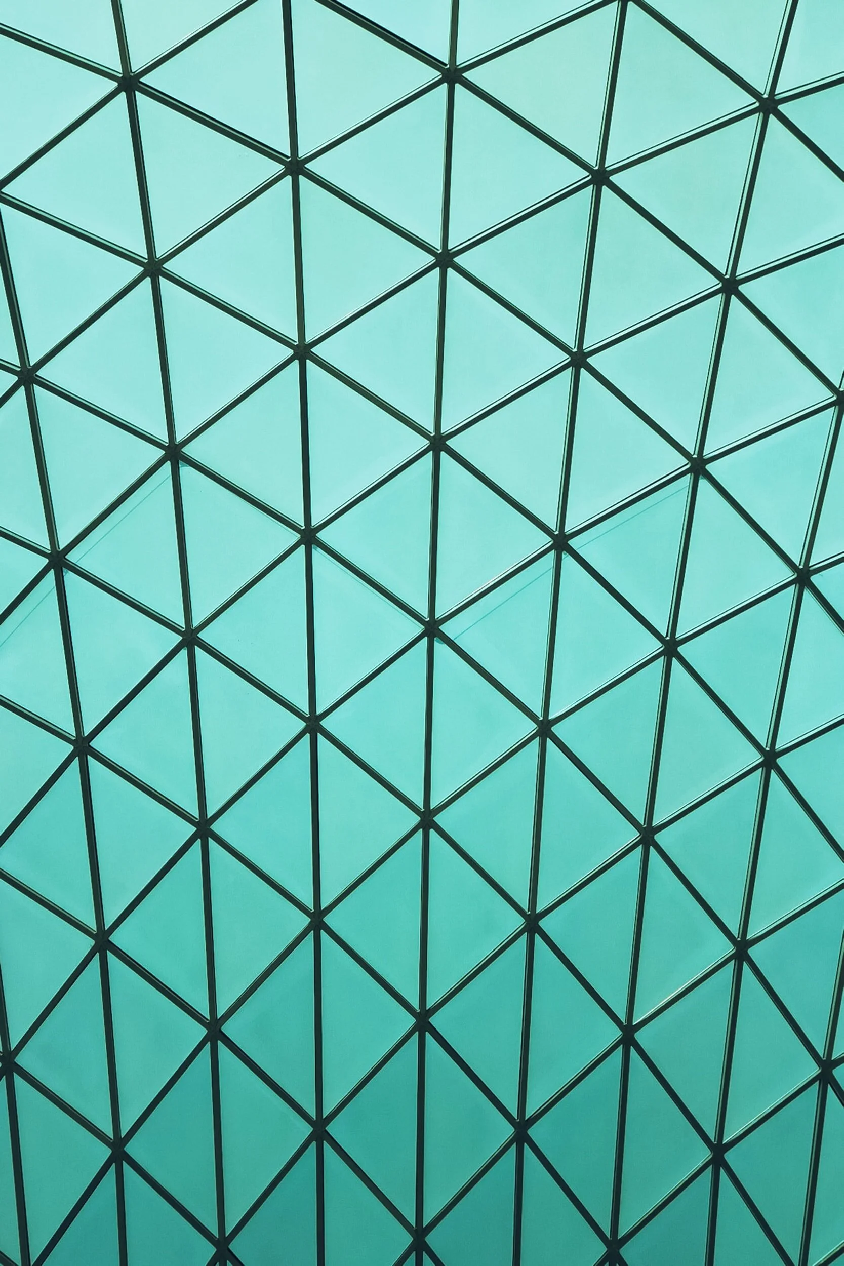 Culture Committee Focus Group Report