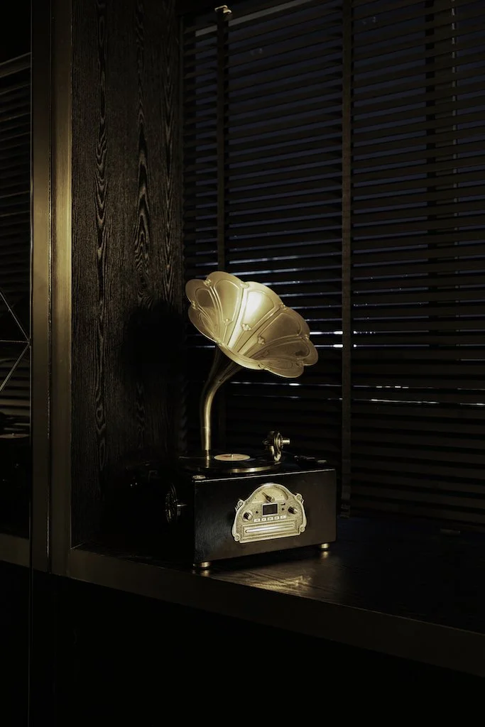 Adjusted_Dining-Close-Up-Gramophone.jpg