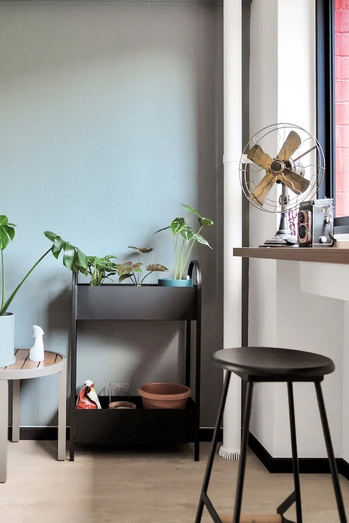 Dinging-Planter-Corner-high-res.jpg