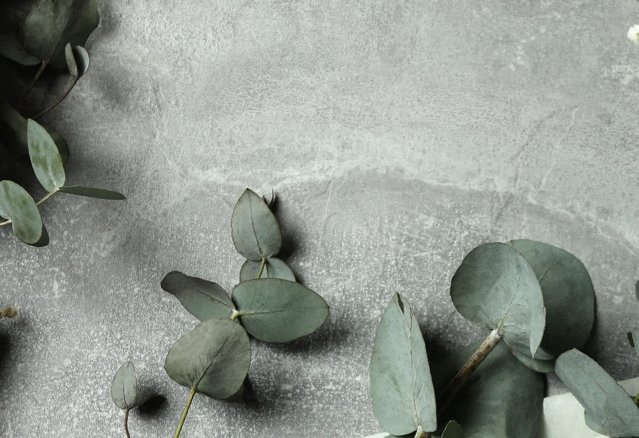 LR_darker scandi copy 2.webp