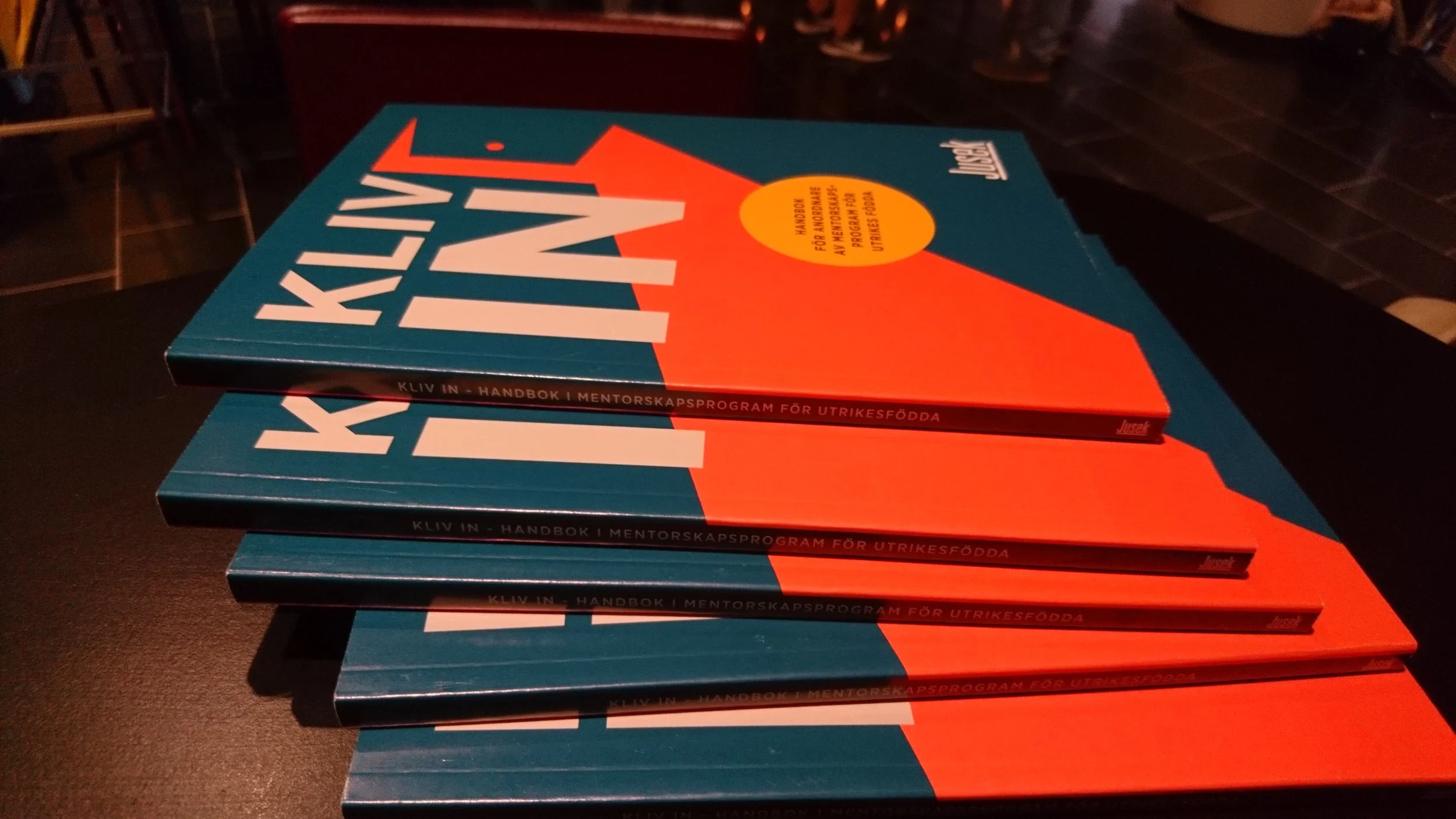 Sveriges Radio inslag mentorskapsprogram för utrikesfödda