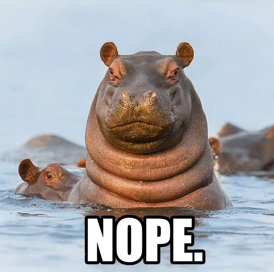 Nope.jpg