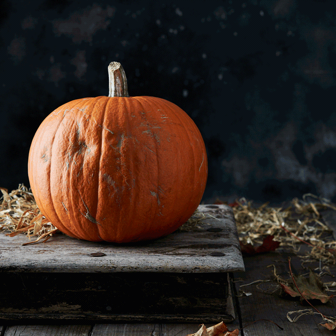 Halloween-Stop-Motion-Low-Res.gif