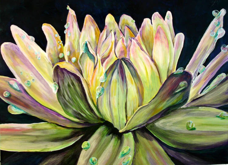 Close up of flowers