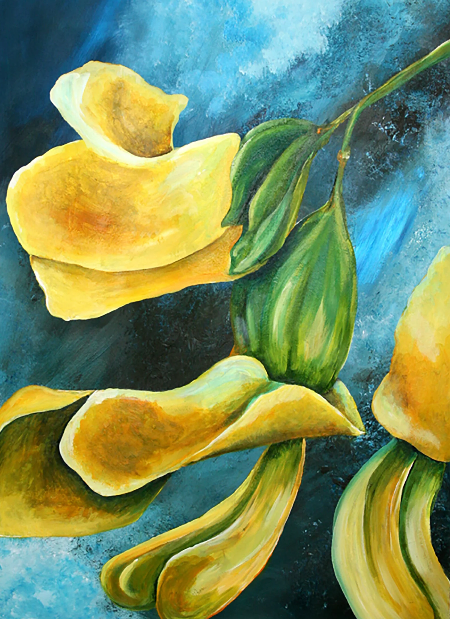 Summer Blooms