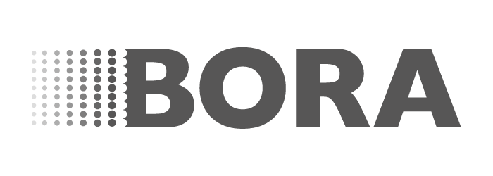Bora Logo PNG.png