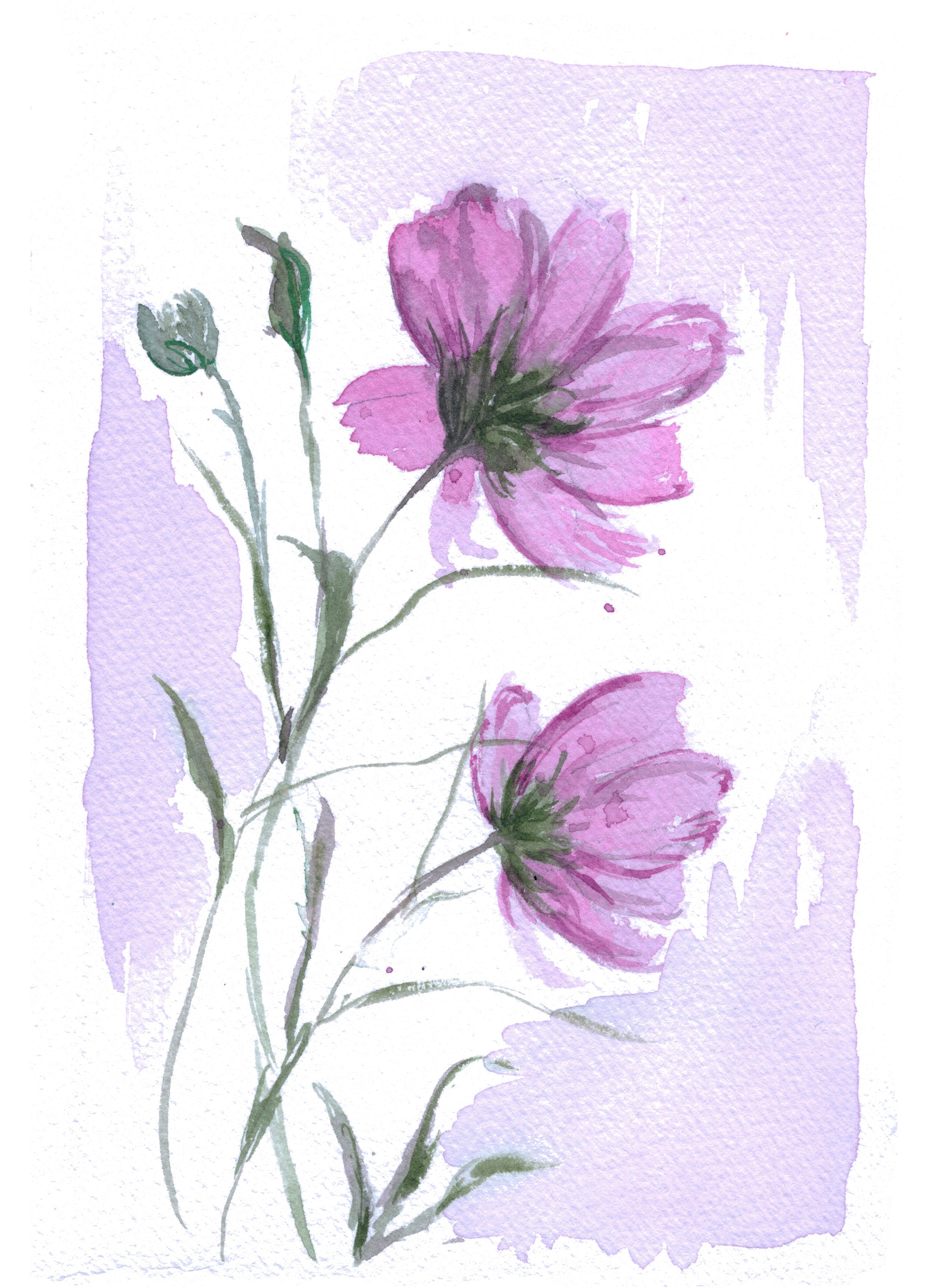 purple 2 .jpg
