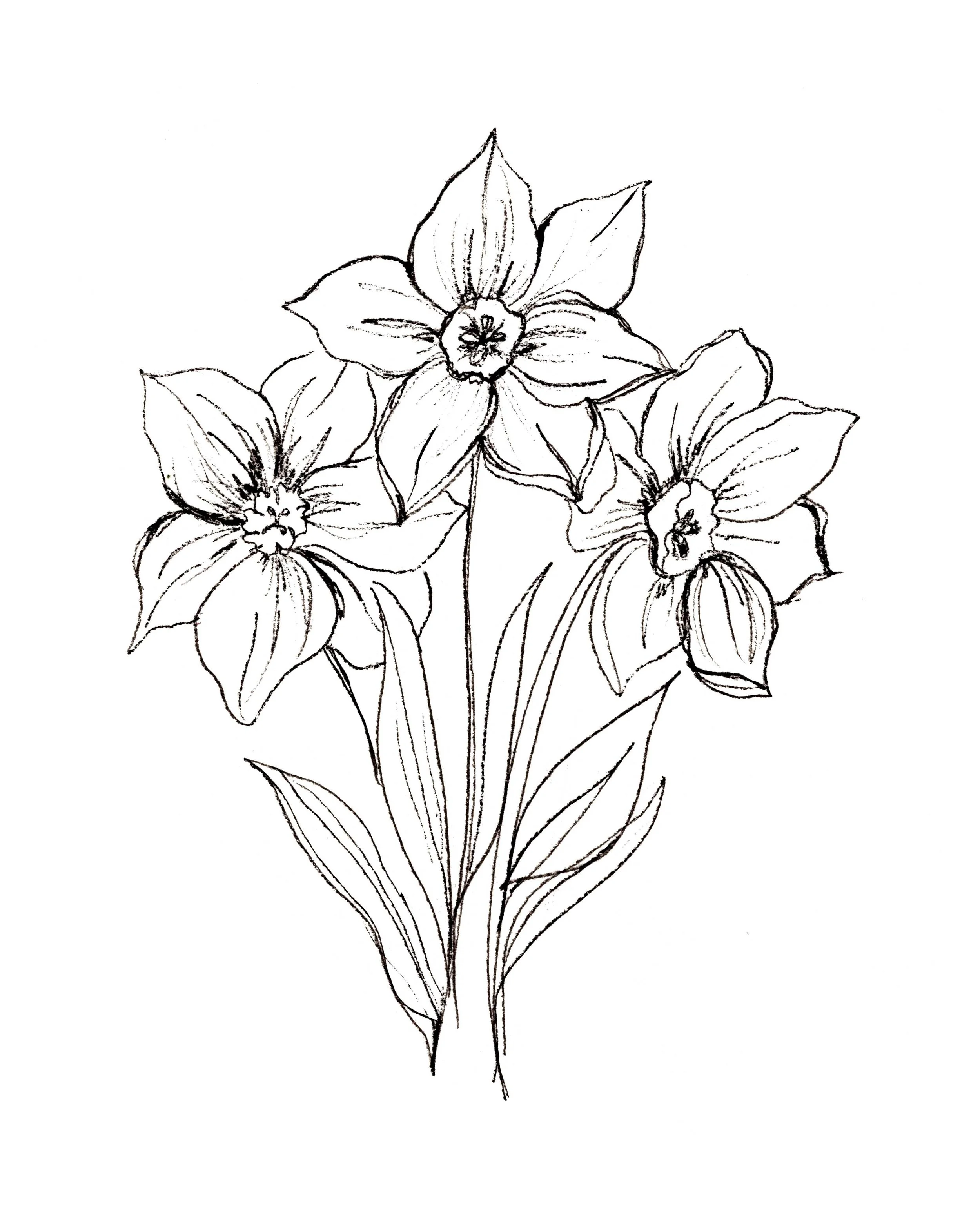 December .jpg (Copy)