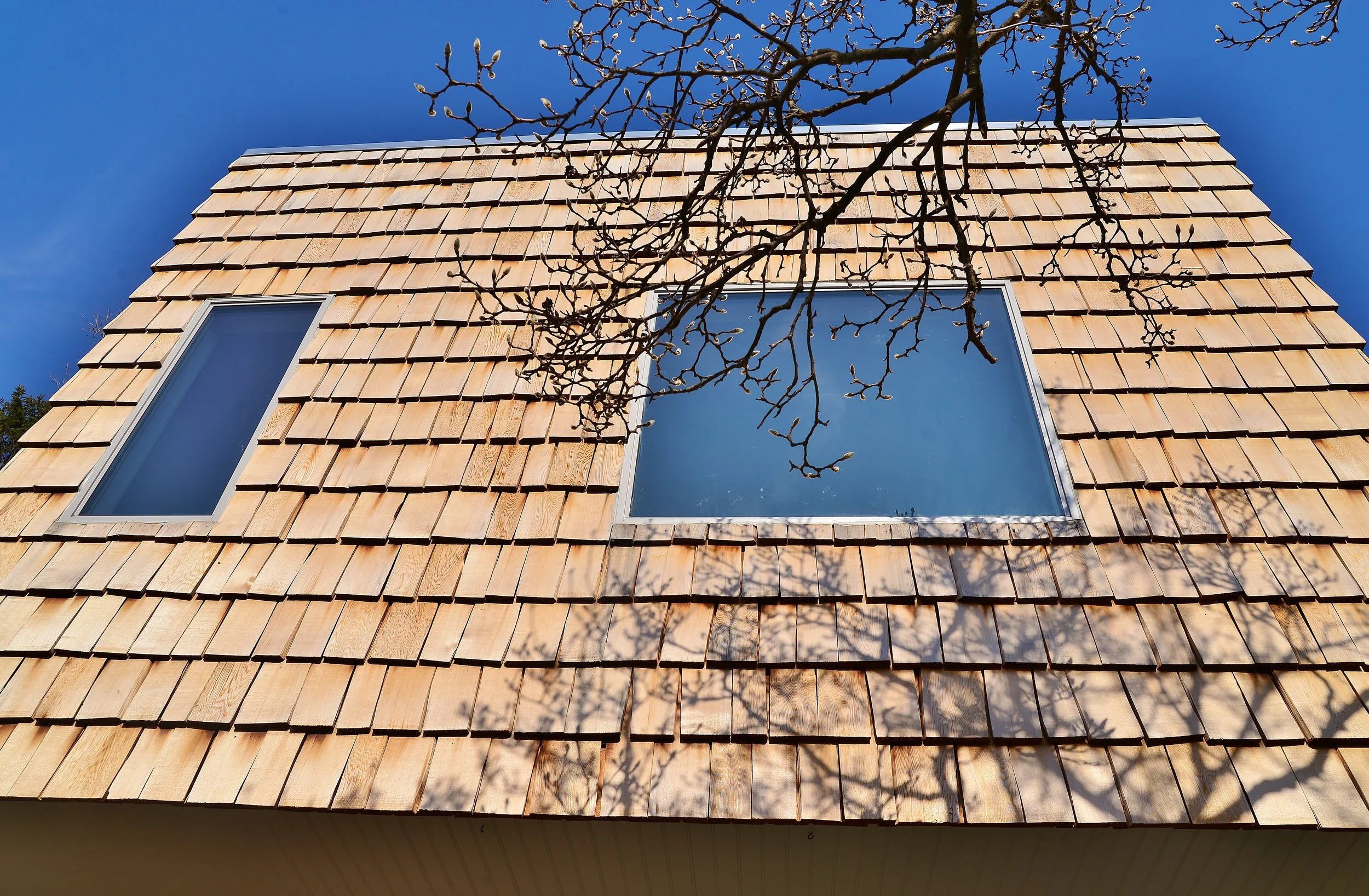 2017-02-06 COMPLETED PICS 270.JPG