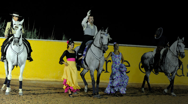 Arte-y-Pasion-Conil-layered-black-fade.jpg