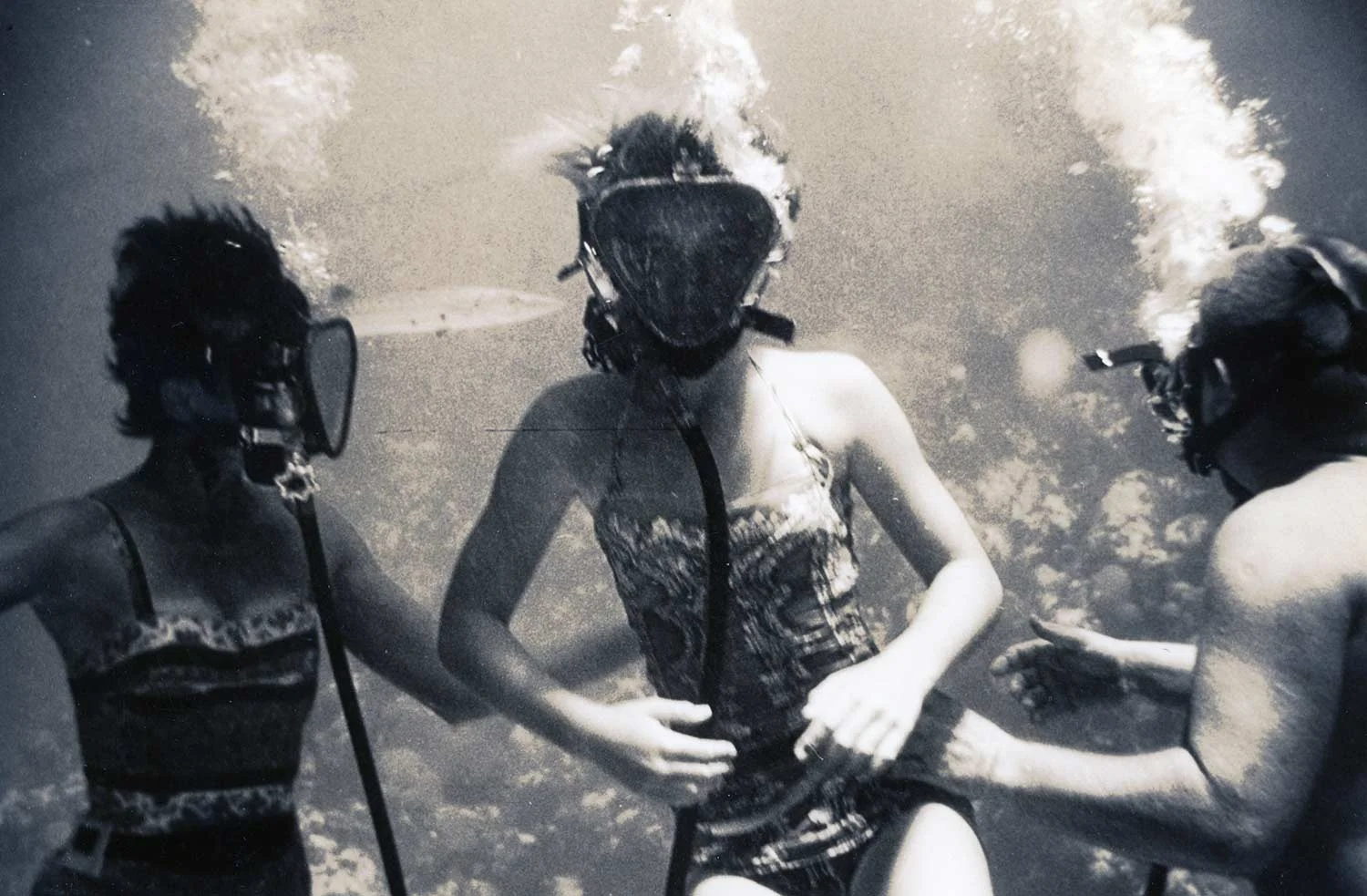 wendydiving.jpg