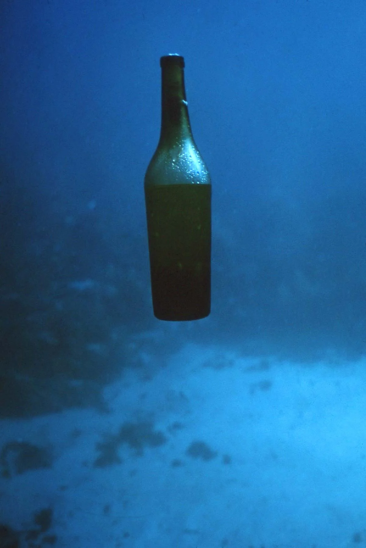 Bottle with original olive oil floating up from L'Herminie