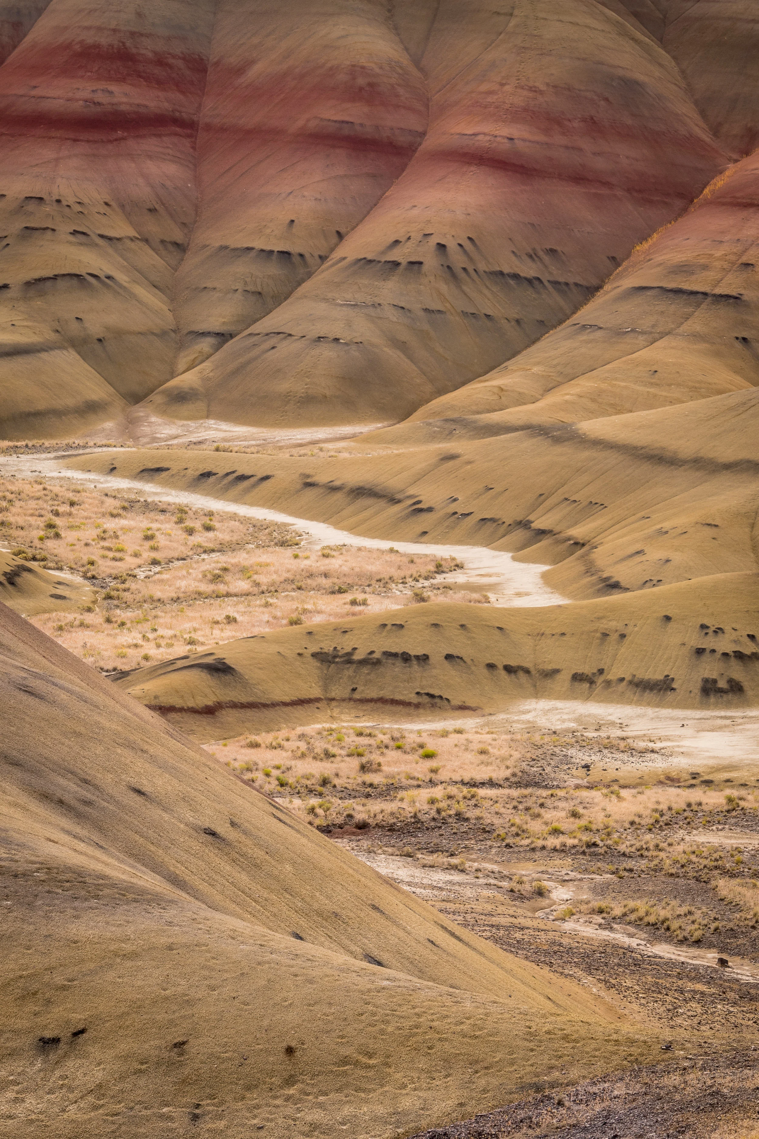 southwest_site-1.jpg