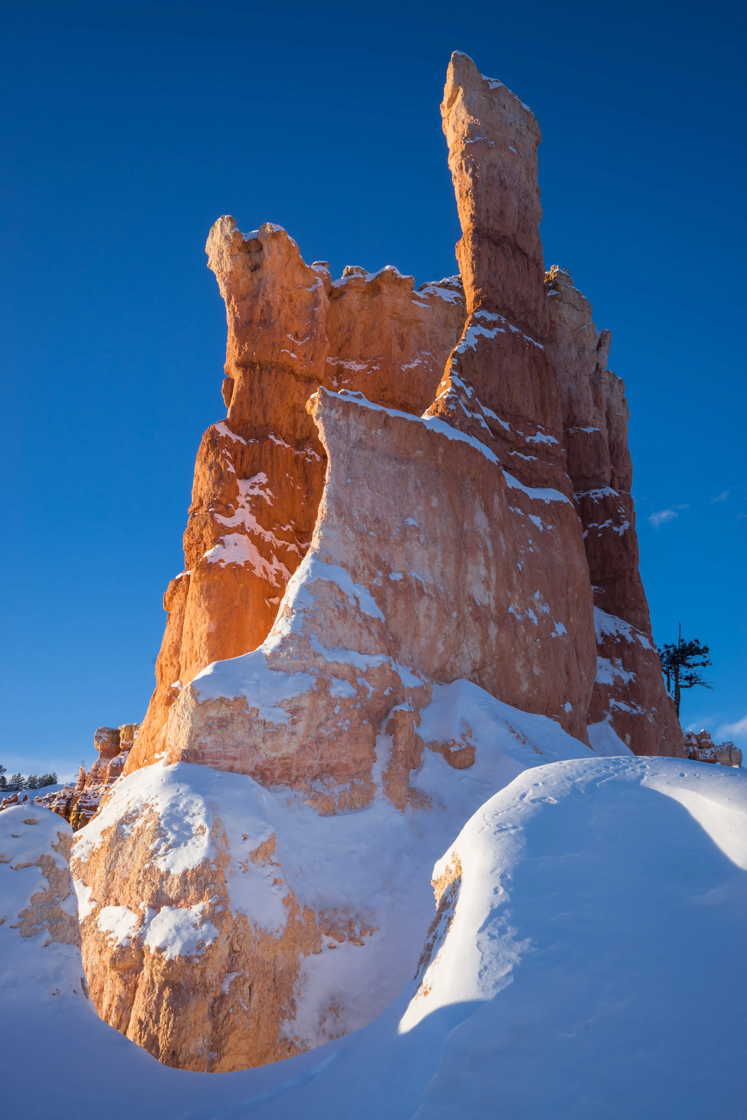 southwest_site-4.jpg