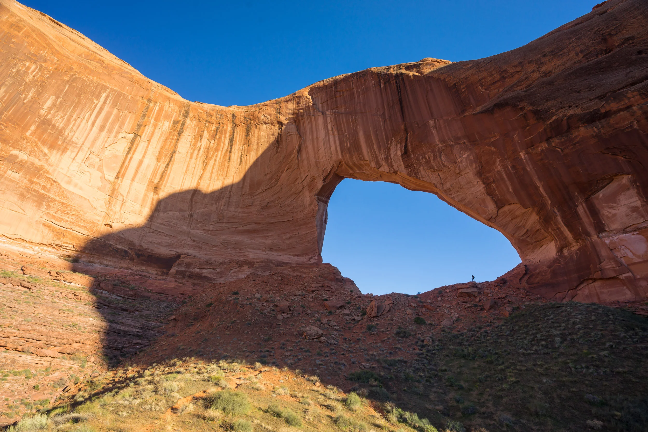 southwest_site-6.jpg