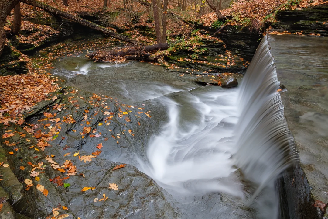 finger_lakes_final-1.jpg