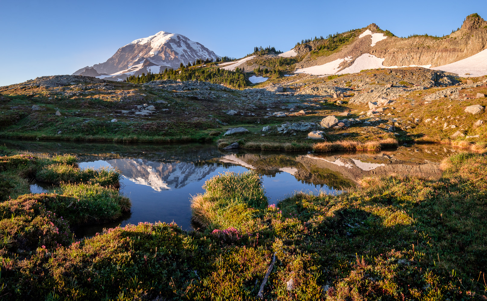A small tarn beneath Knapsack Pass reflects Mount Rainier