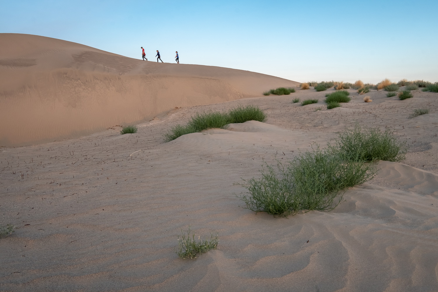 Sunrise at sand dunes in Hanford Reach National Monument