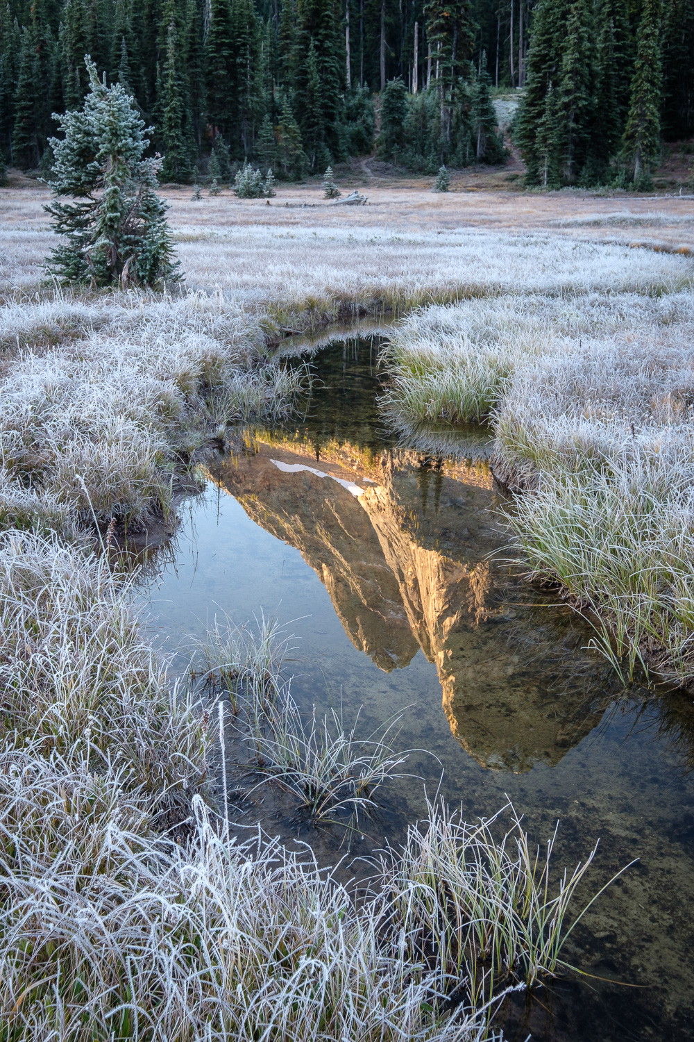  Liberty Bell reflected in the headwaters of State Creek on a chilly morning 